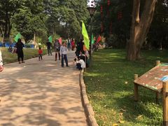 -南宁良凤江国家森林公园