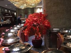 -聚春园自助餐厅(东街口店)