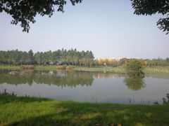 -艾溪湖湿地公园