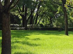 -迎泽公园