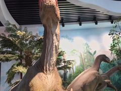 -云南省博物馆