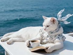 -银灯食府(丽丰国际中心店)