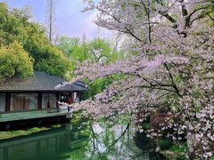 -湖畔居茶楼(湖滨店)