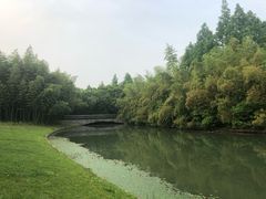 -上海佘山世茂艾美酒店