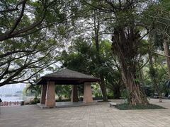 -南宁南湖公园