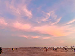 -南汇嘴观海公园