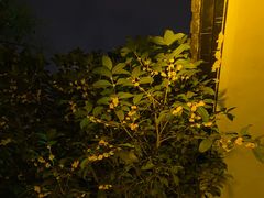 -不倒翁·徽天下名菜楼(马鞍山路店)