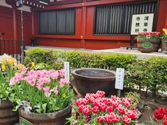 -浅草寺