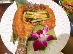 香茅草烤罗非鱼-紫滇源云南生态菜(丹凤街店)