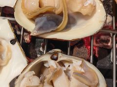 -震海贝烤贝·民俗特色店(延吉总店)
