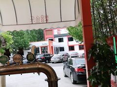 -向外鱼乐·土菜·虹鳟鱼