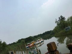 -南湖湿地公园