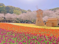 -苏州上方山国家森林公园
