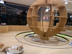 -CAT’S MEWSTAR CAFE·喵星球猫屋(晴湾咖啡店)