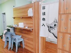 -猫十亿·布偶金渐层·曼基康矮脚猫舍(青年路店)