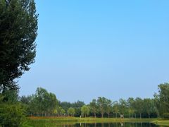 -东郊湿地公园