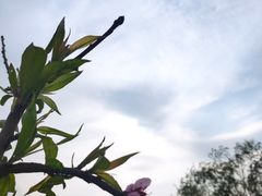 -西青郊野公园