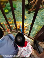 -酷嗒动物文化乐园(cutezoo西溪乐天城店)