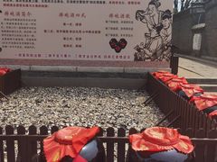 -老龙头景区
