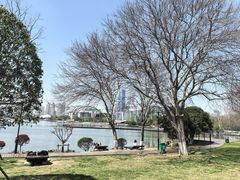 -月湖风景区