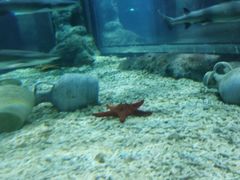 -福州罗源湾海洋世界旅游区