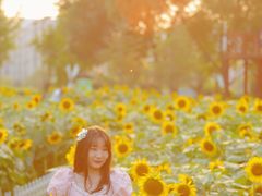 -廊坊文化艺术中心