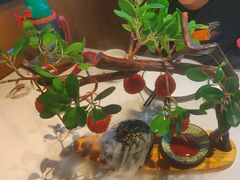 -唐猫庭院·千年陕菜(大唐不夜城店)