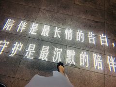 -映月湖中央公园