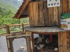 -幽岚山·童话森林