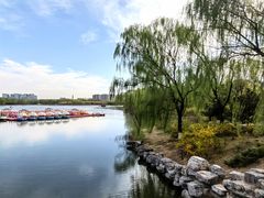 -大兴滨河森林公园