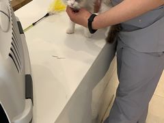 -萌兽医馆·眼科·异宠专科(三里屯店)
