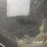 真正渤海湾海捕对虾制作，《大虾烧白菜》天花板