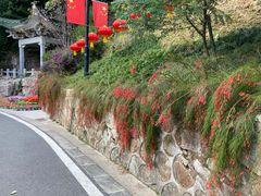 -广州市白云山风景名胜区