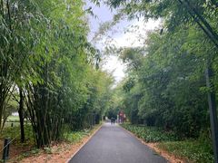 -贵阳市花溪国家城市湿地公园