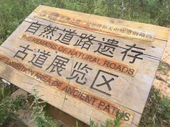 -函谷关历史文化旅游区