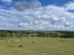 -塞罕坝国家级自然保护区