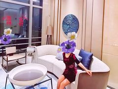 -广州奥园喜来登酒店