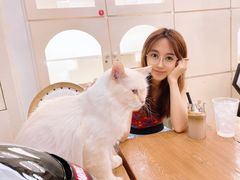 -猫小院猫主题餐厅(南锣旗舰店)