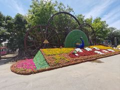 -呀路古热带植物园
