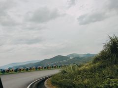-武陵山森林公园