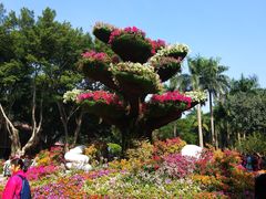 -广州雕塑公园