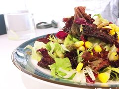 蔬菜沙拉-肆月河豚·新淮扬(金融街店)