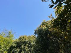 -大罗山风景区