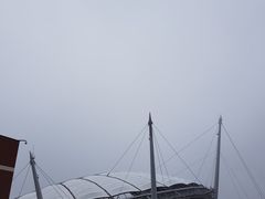 -西归浦每天偶来市场