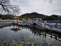 -红山村