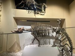 -国家自然博物馆