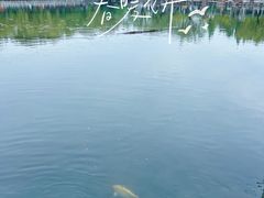 -济南大明湖景区