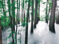 -东湖落雁景区