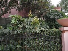 -圣爵菲斯大酒店(长沙世界之窗店)