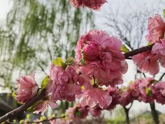 -三里河公园